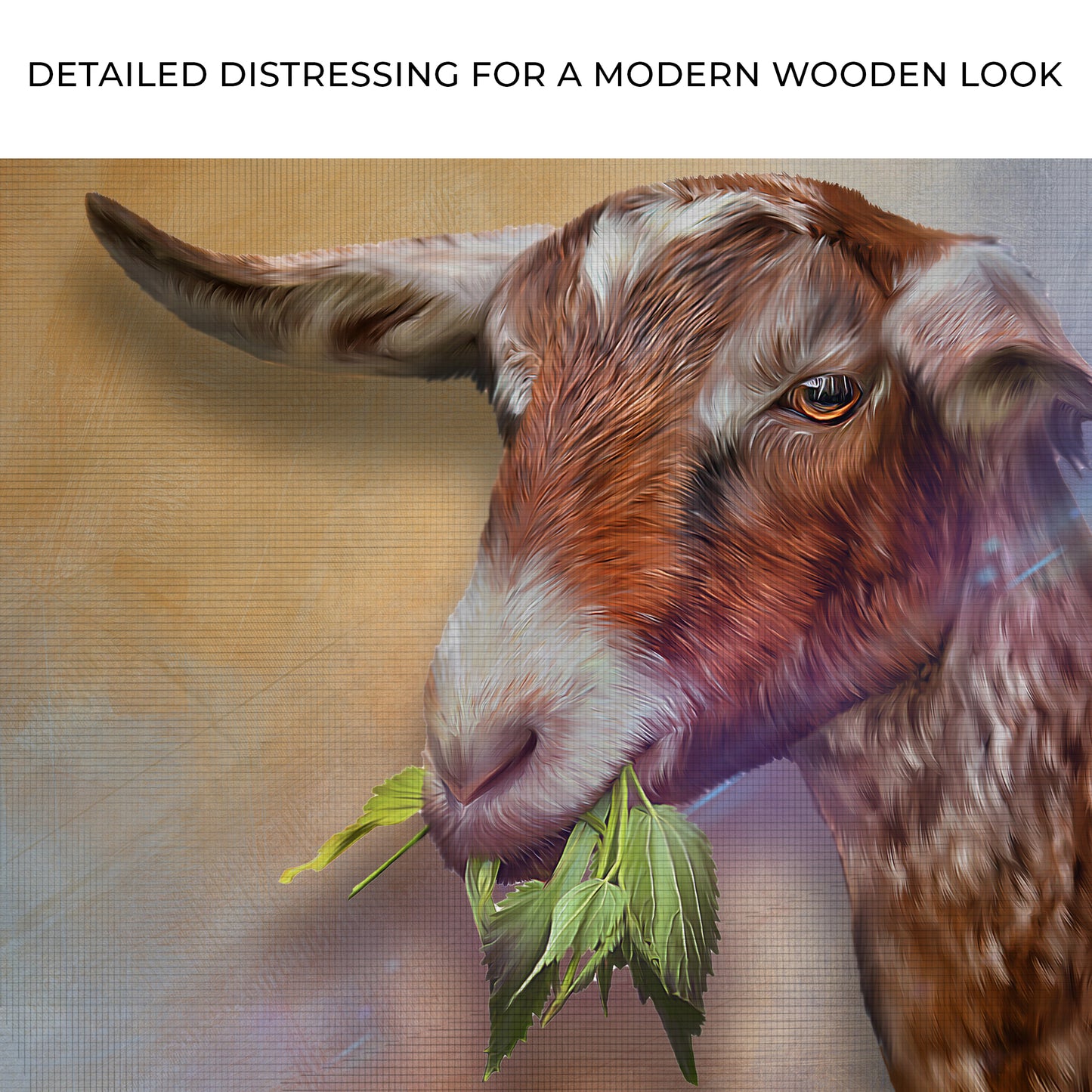 Munching Goat Portrait Canvas Wall Art Zoom - Image by Tailored Canvases