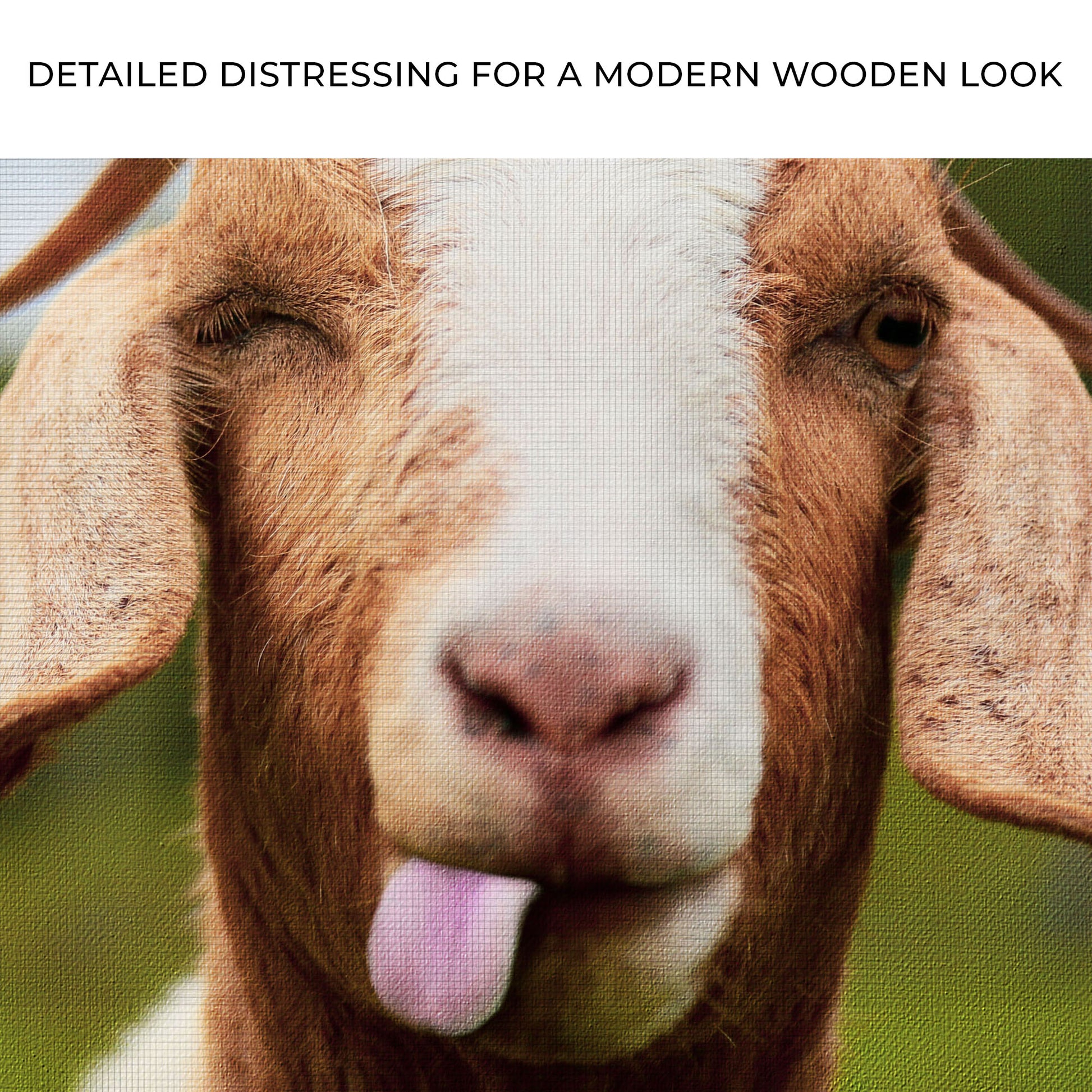 Wacky Goat Canvas Wall Art Zoom - Image by Tailored Canvases