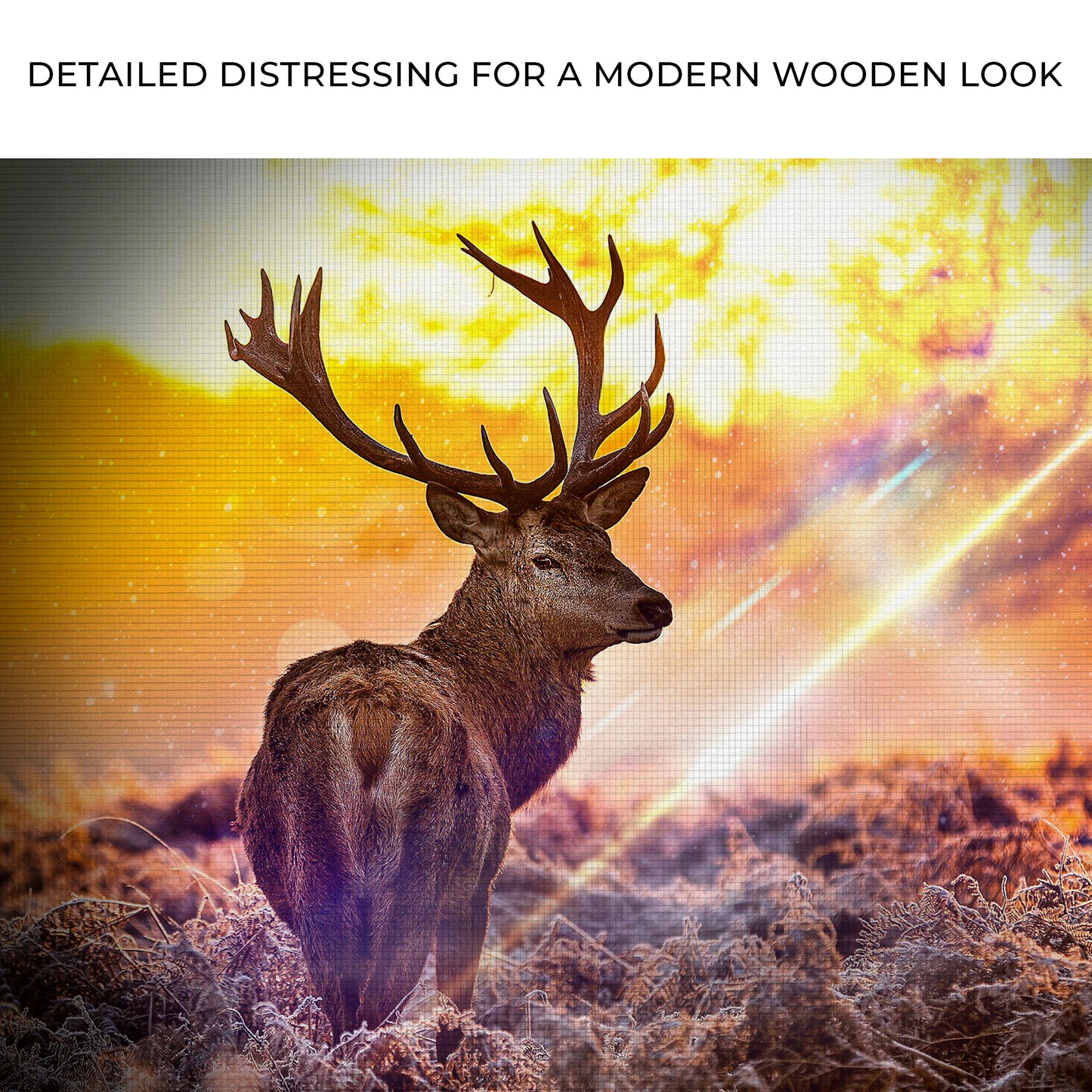 Deer Elk In Sunset Forest Canvas Wall Art Zoom - Image by Tailored Canvases