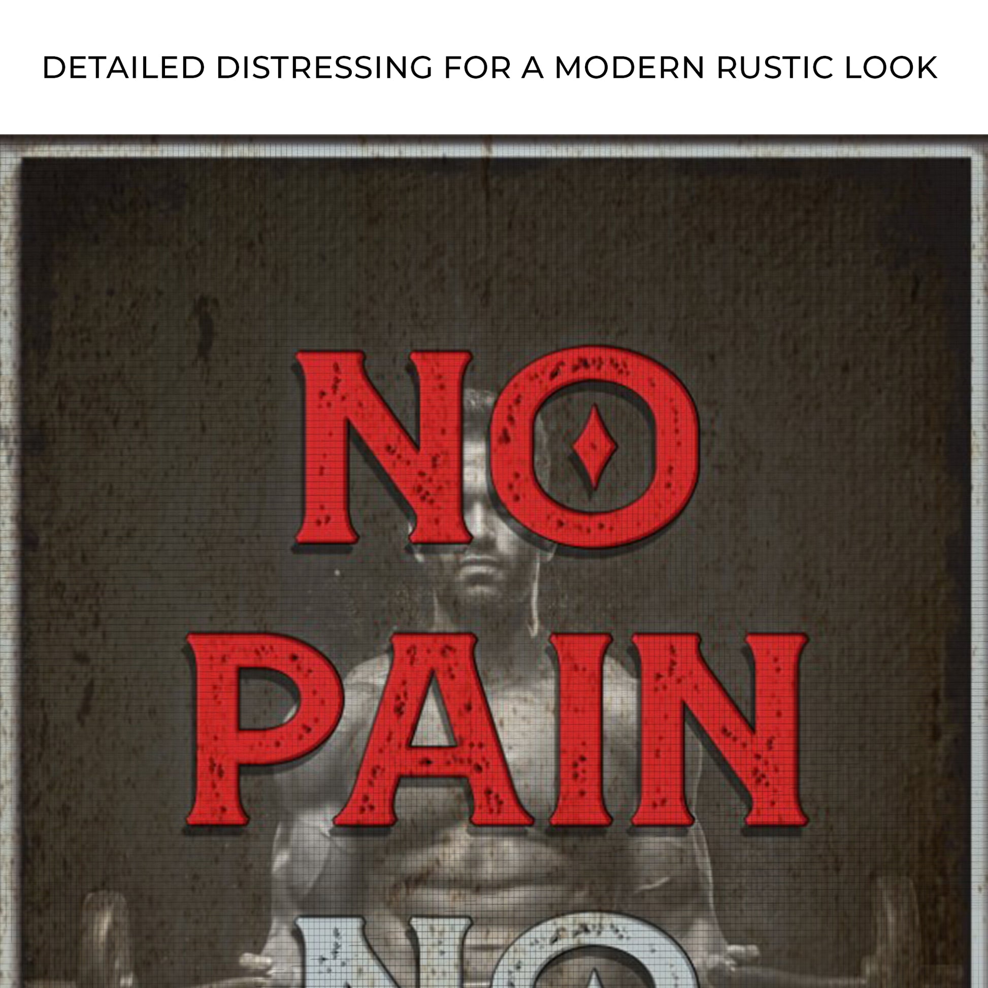 No Pain No Gain Sign III Zoom - Image by Tailored Canvases