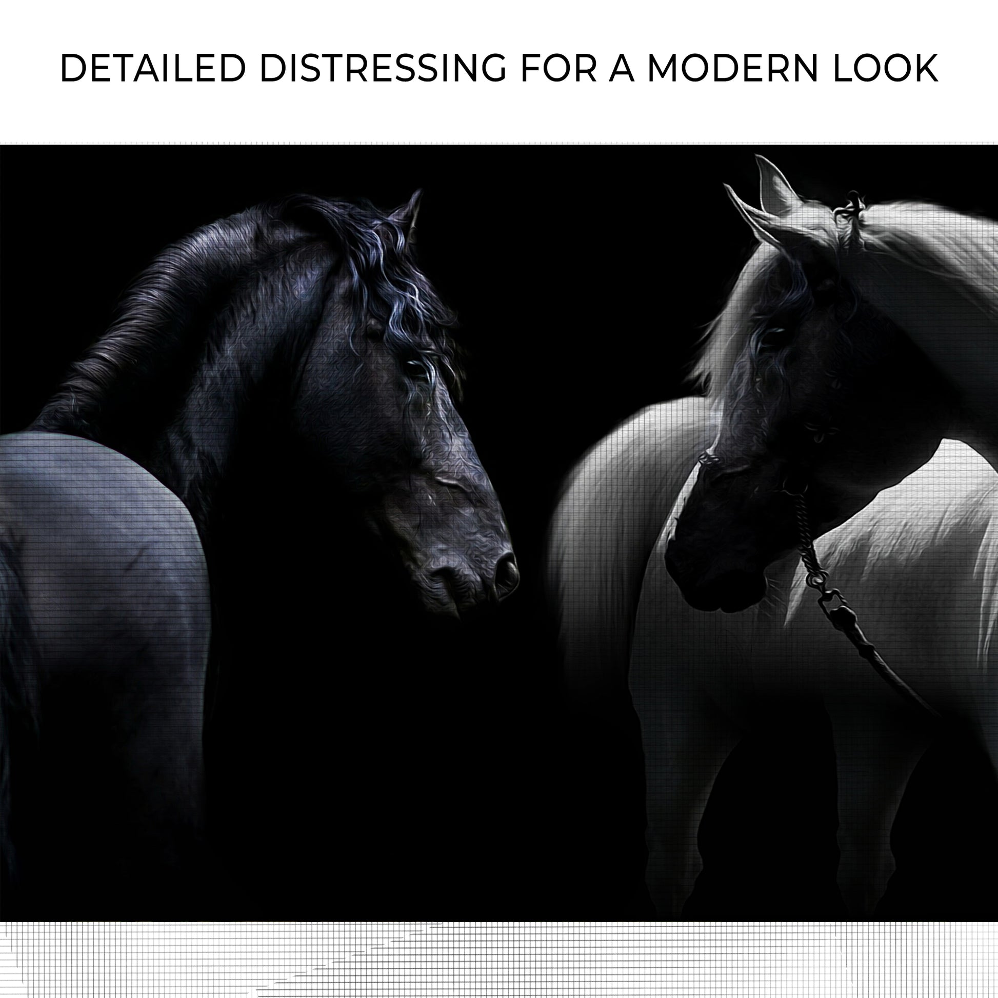 Monochromatic Horses Canvas Wall Art Zoom - Image by Tailored Canvases
