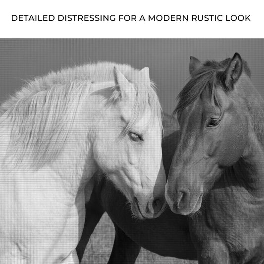 Horse Love Canvas Wall Art Zoom - Image by Tailored Canvases