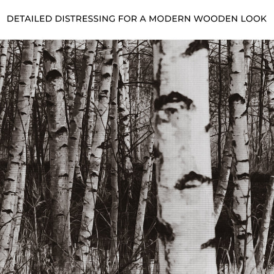 Grayscale Birch Tree Trunks Canvas Wall Art Zoom - Image by Tailored Canvases