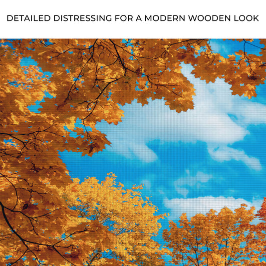 Trees From The Ground Point Canvas Wall Art Zoom - Image by Tailored Canvases