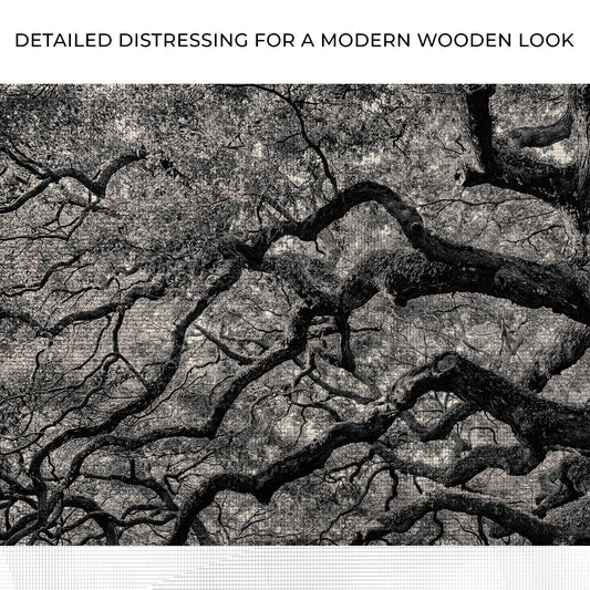 Monochrome Angel Oak Tree Canvas Wall Art Zoom - Image by Tailored Canvases