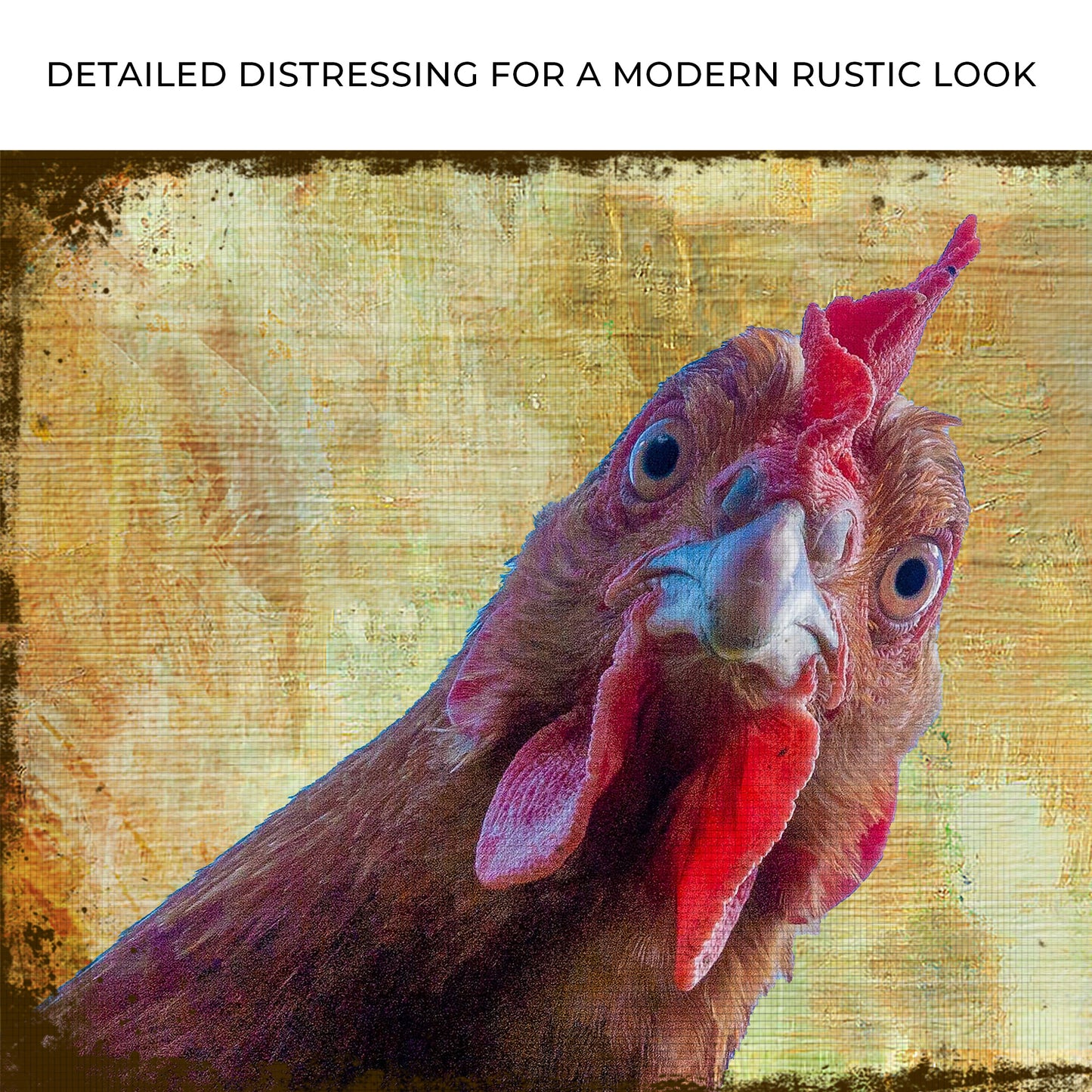 Curious Chicken Canvas Wall Art Zoom - Image by Tailored Canvases