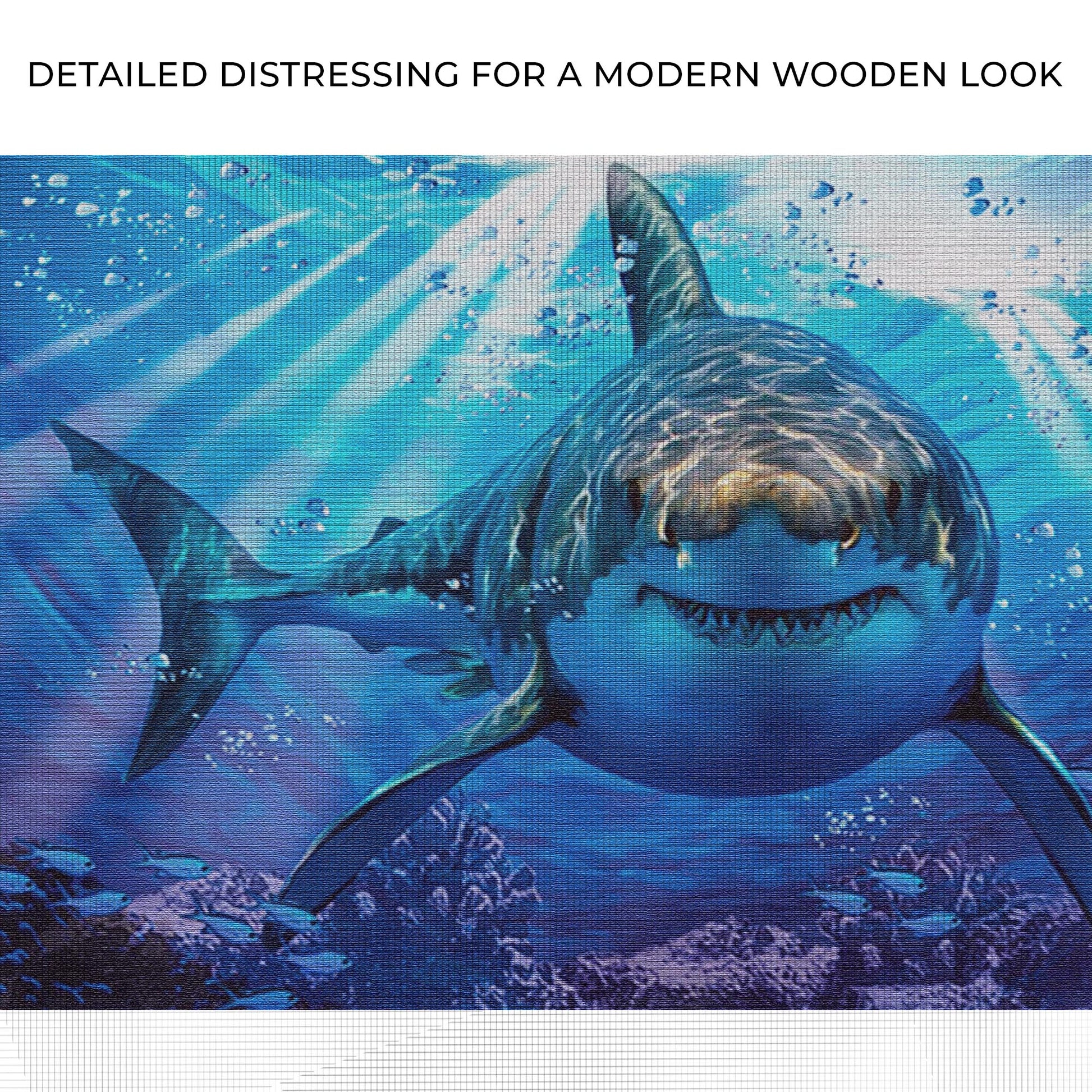 Underwater White Shark Canvas Wall Art Zoom - Image by Tailored Canvases