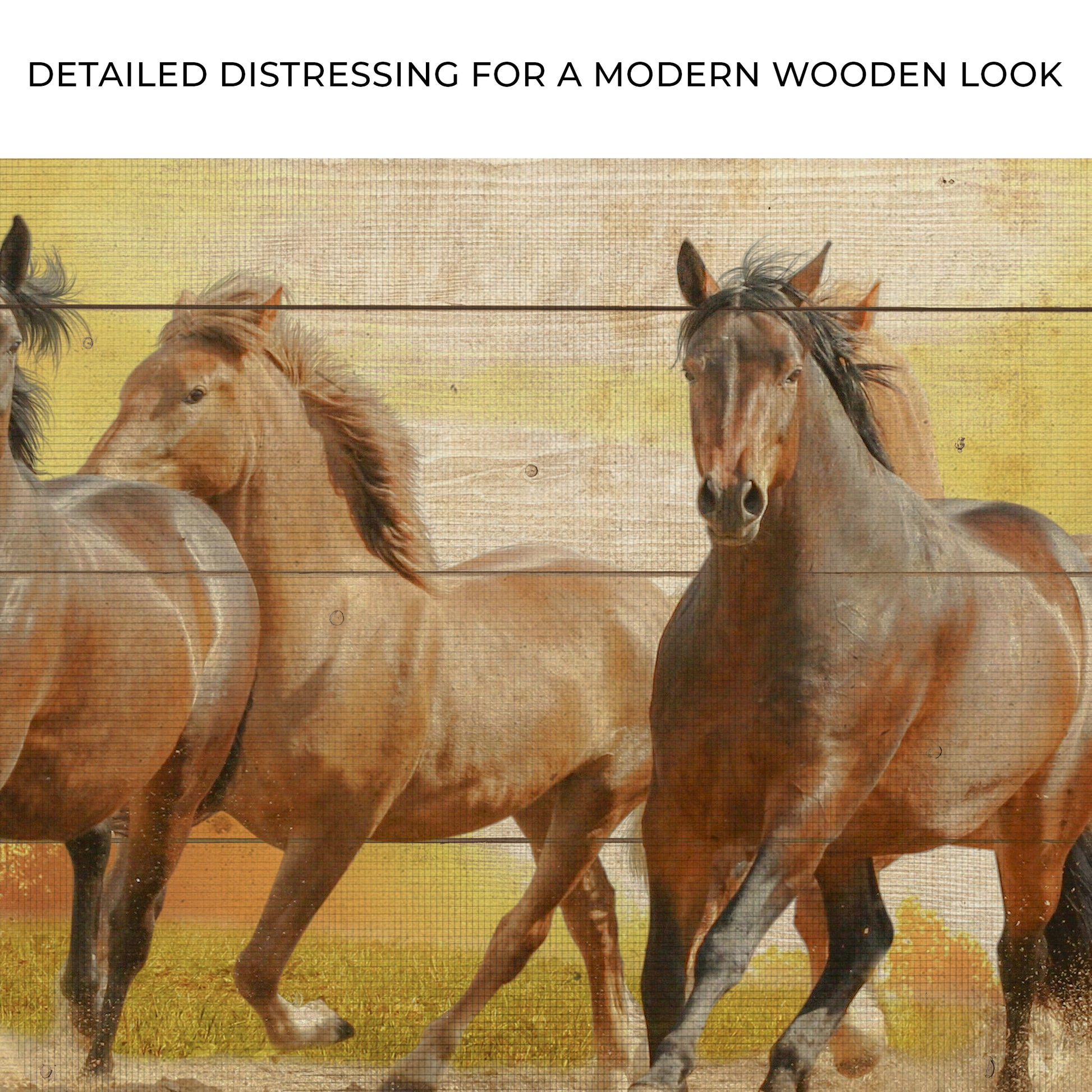 Galloping Wild Horses Canvas Wall Art Zoom- Image by Tailored Canvases