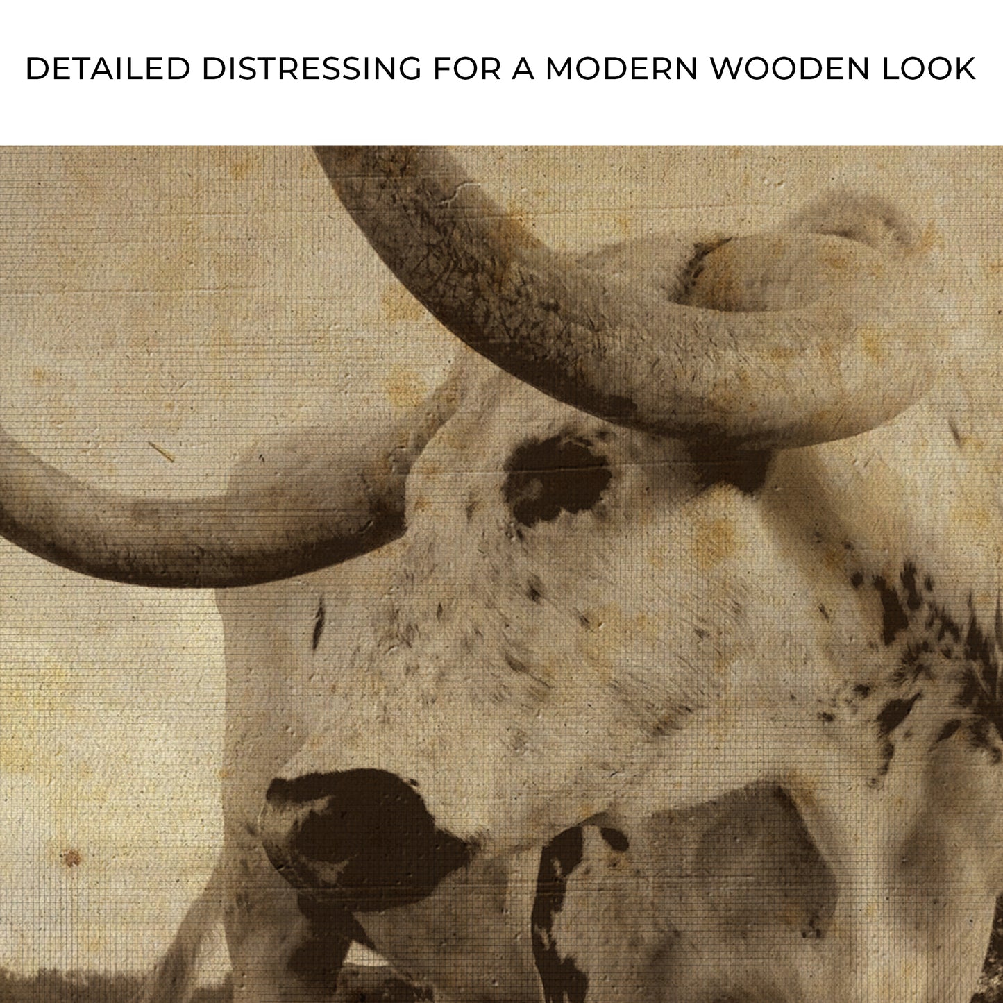 Vintage Longhorn Cattle Canvas Wall Art Zoom - Image by Tailored Canvases