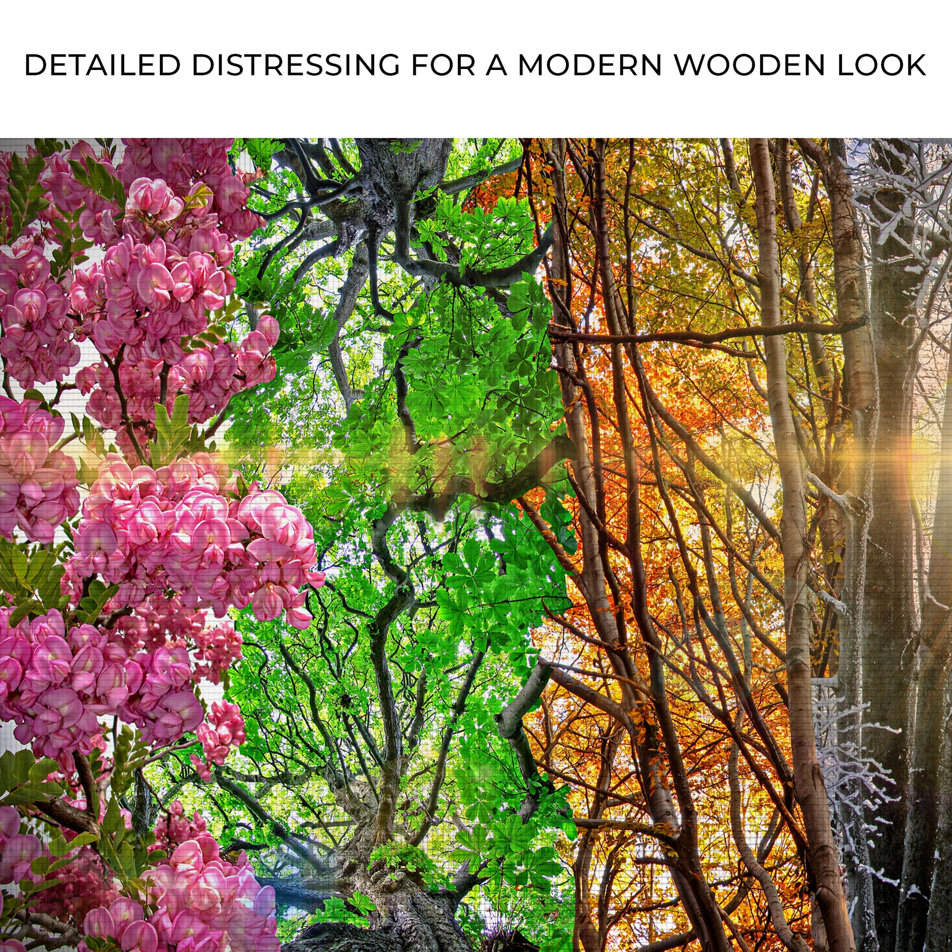 Trees Four Seasons Canvas Wall Art Zoom - Image by Tailored Canvases