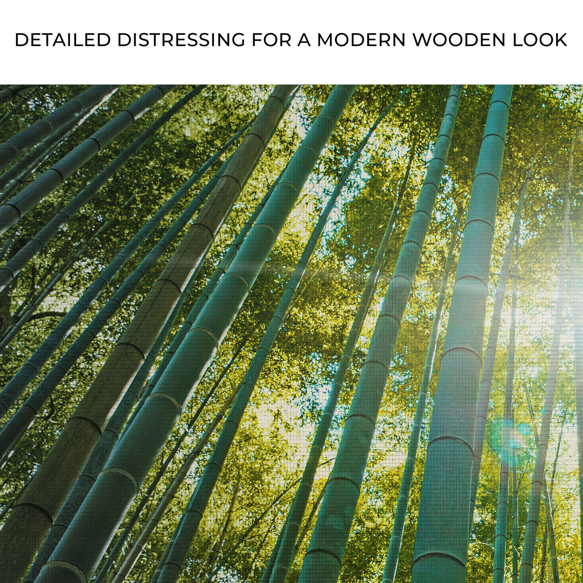 Looking Up Through A Bamboo Forest Canvas Wall Art Zoom - Image by Tailored Canvases