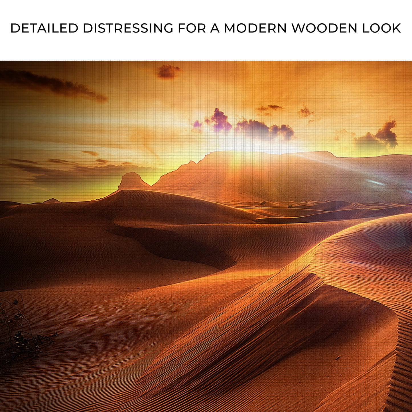 Sunset Over Desert Sand Canvas Wall Art Zoom - Image by Tailored Canvases