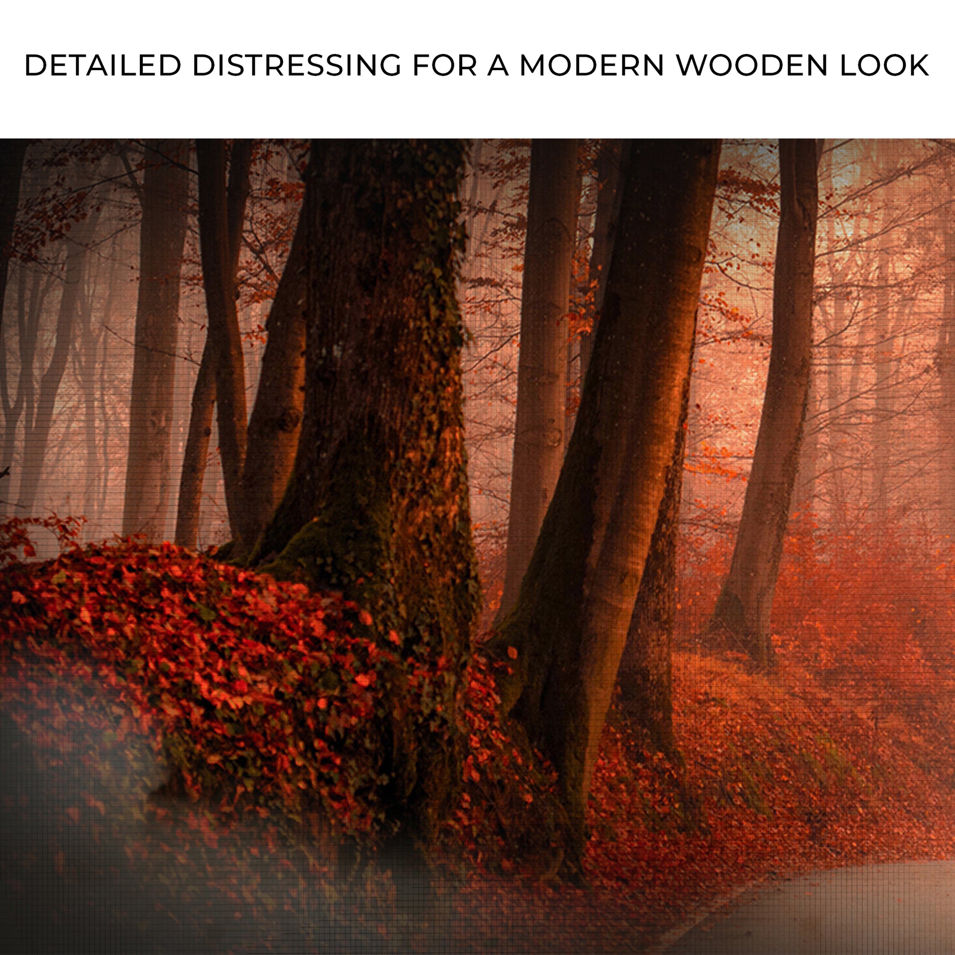 Foggy Forest In Autumn Canvas Wall Art Zoom - Image by Tailored Canvases