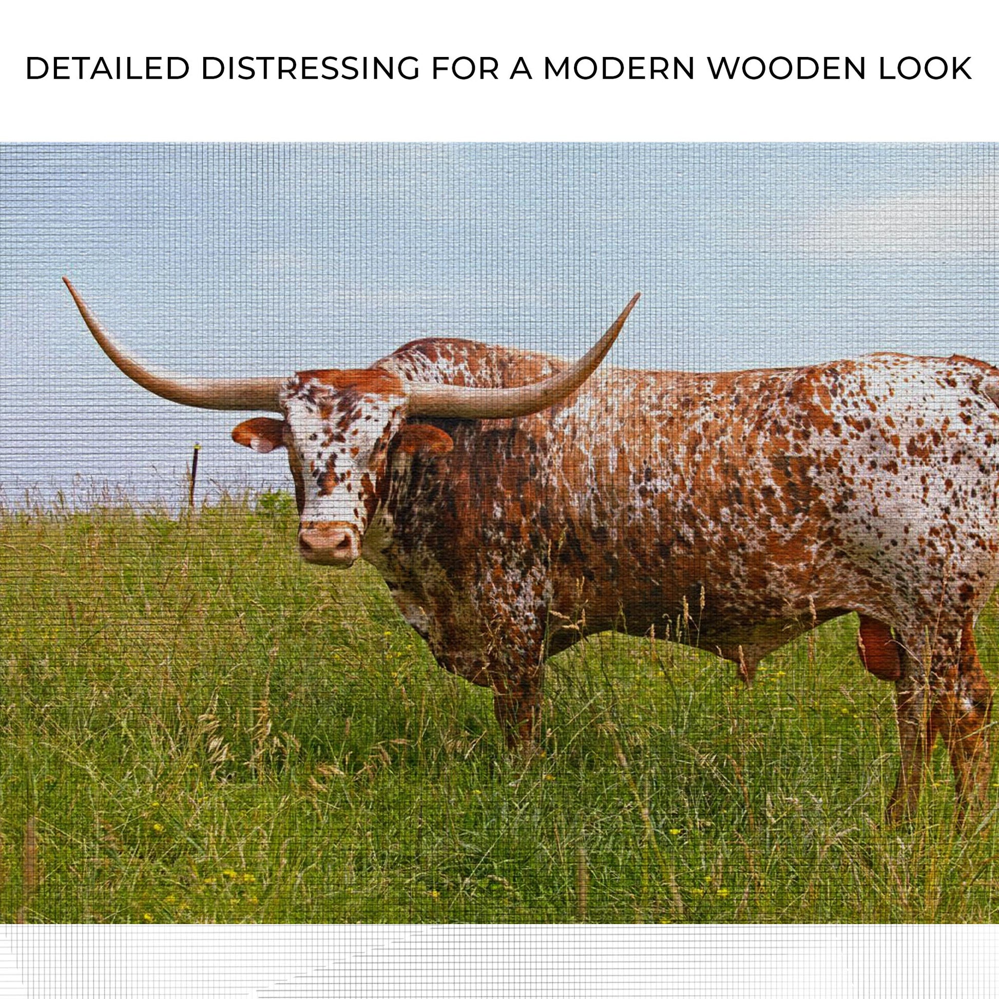Texas Longhorn Cattle Canvas Wall Art Zoom - Image by Tailored Canvases