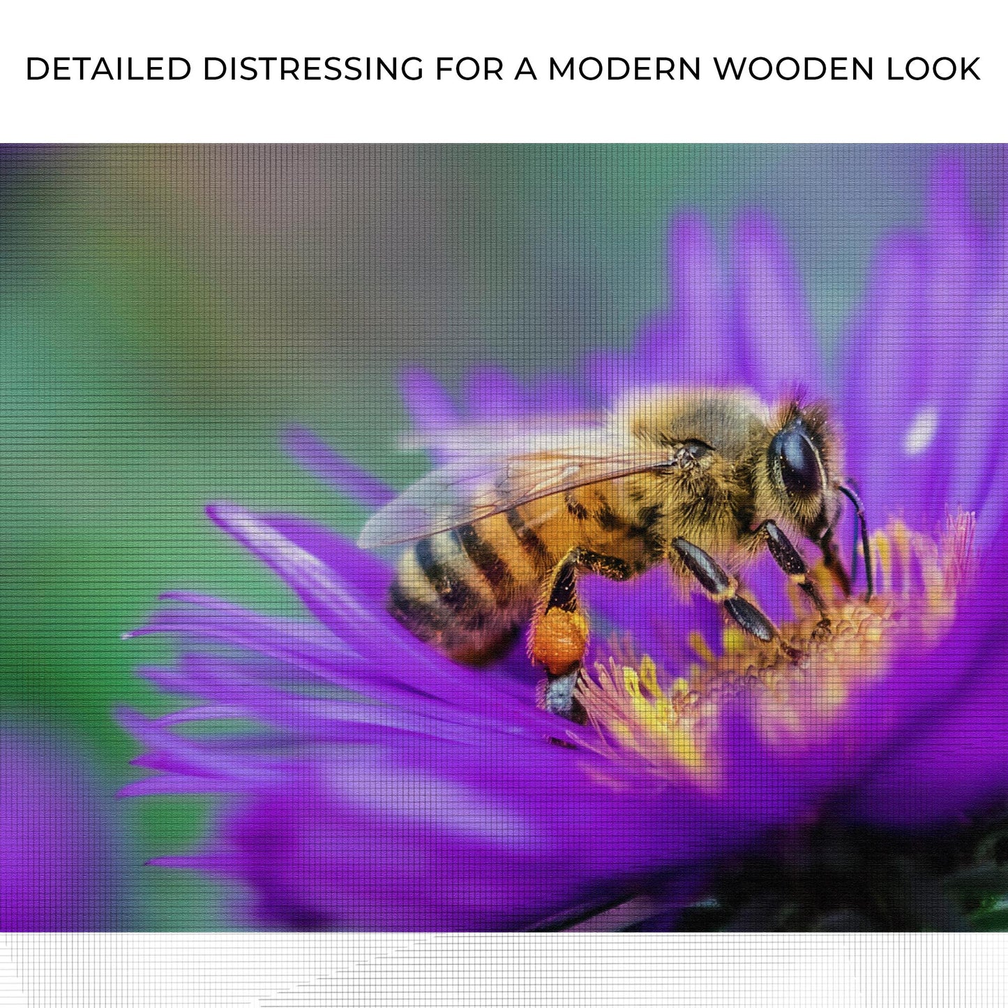 Honey Bee Up Close Canvas Wall Art Zoom - Image by Tailored Canvases