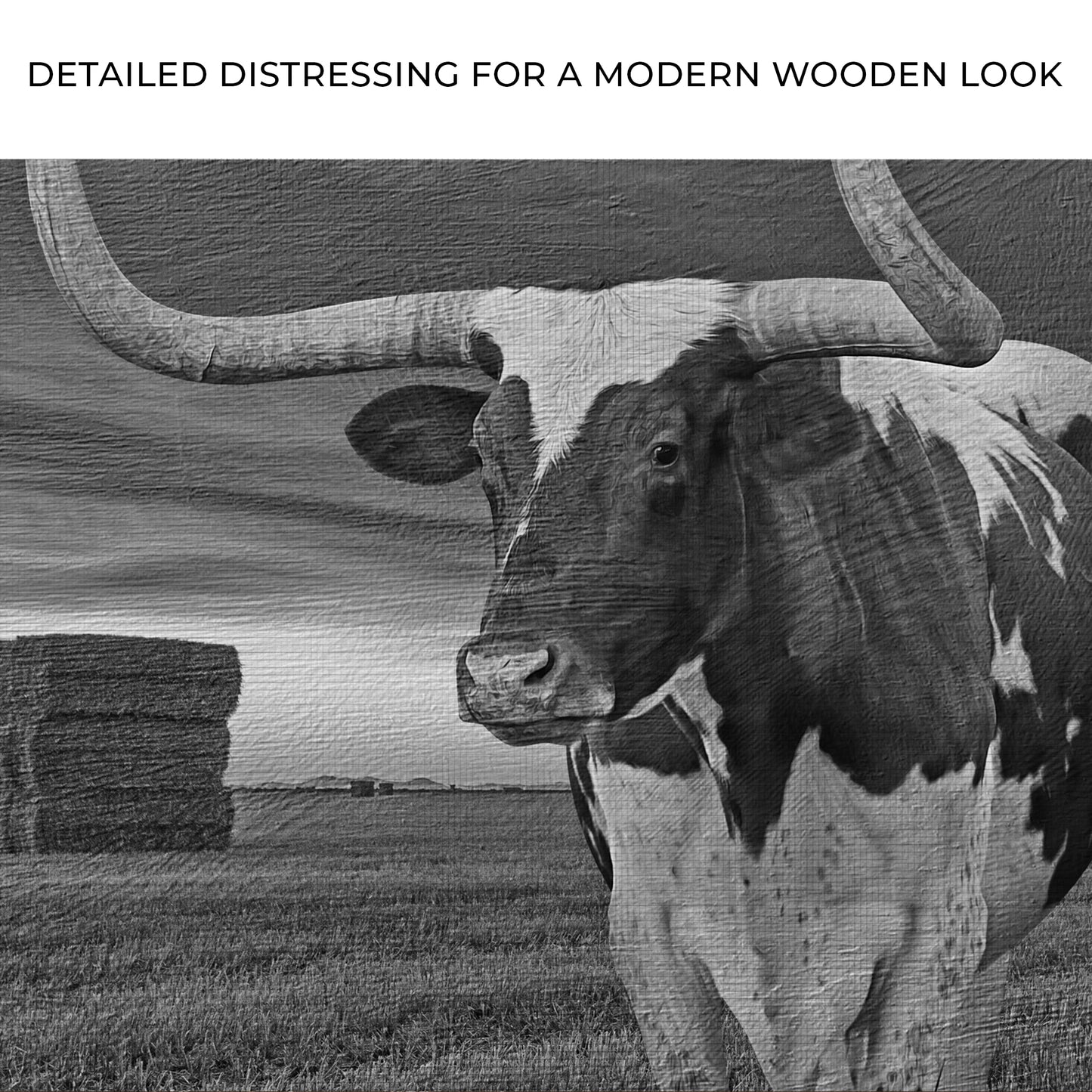 Longhorn Barn Life In Black And White Canvas Wall Art Zoom - Image by Tailored Canvases