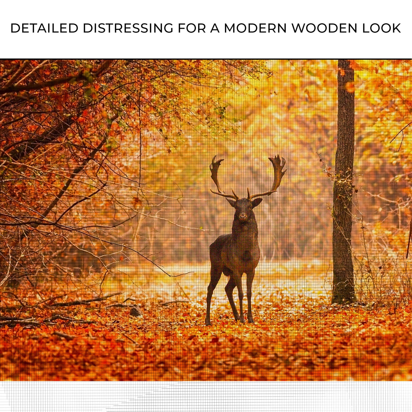 Fallow Deer In Autumn Canvas Wall Art Zoom - Image by Tailored Canvases