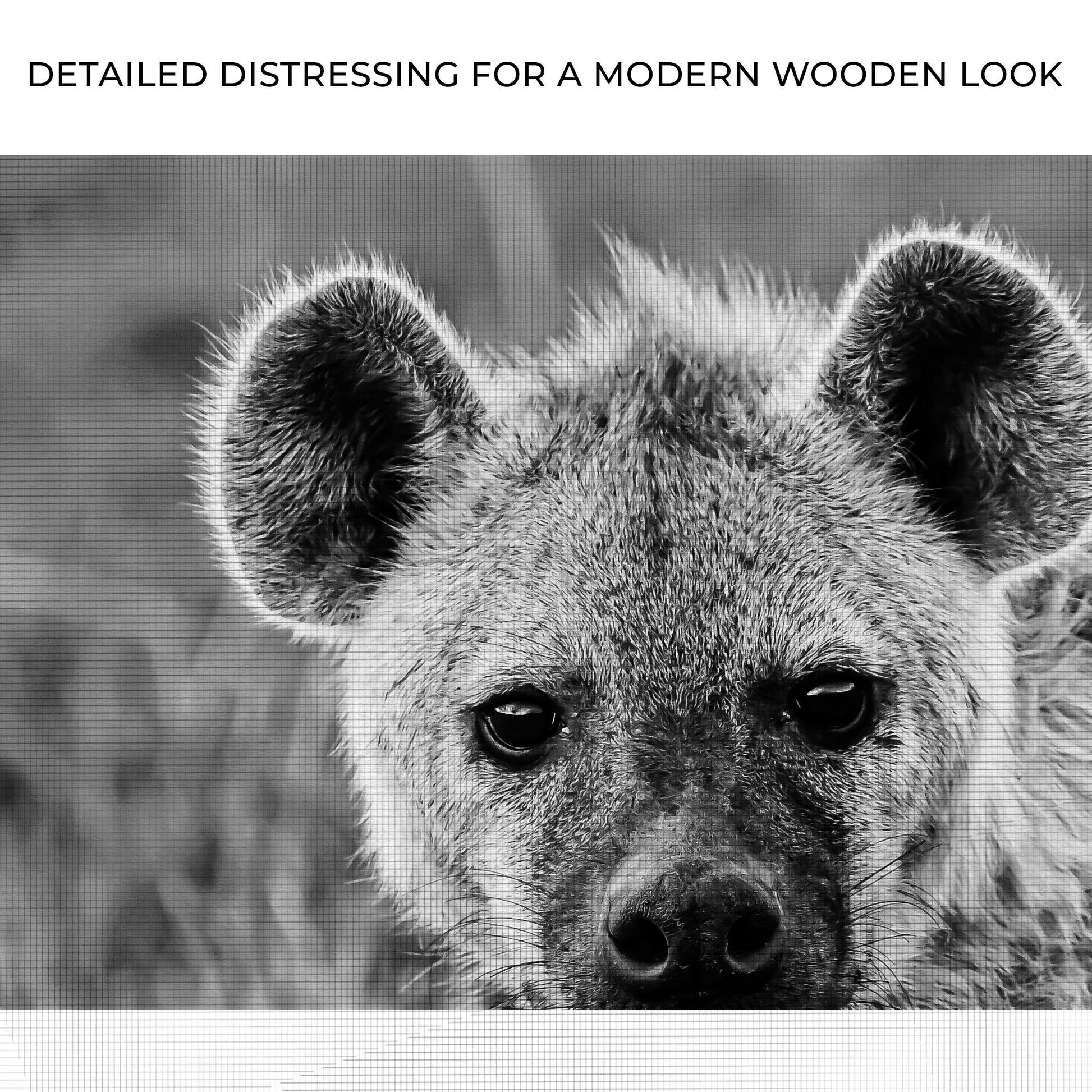 Hyena in Black and White Canvas Wall Art Zoom - Image by Tailored Canvases