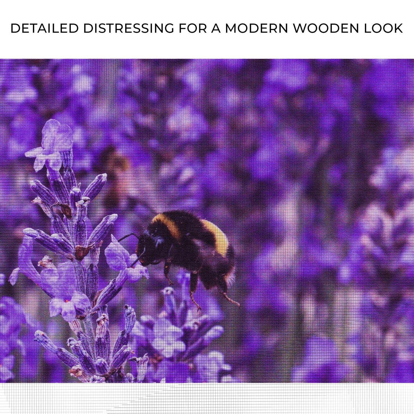 Bee Among Lavender Fields Canvas Wall Art Zoom - Image by Tailored Canvases