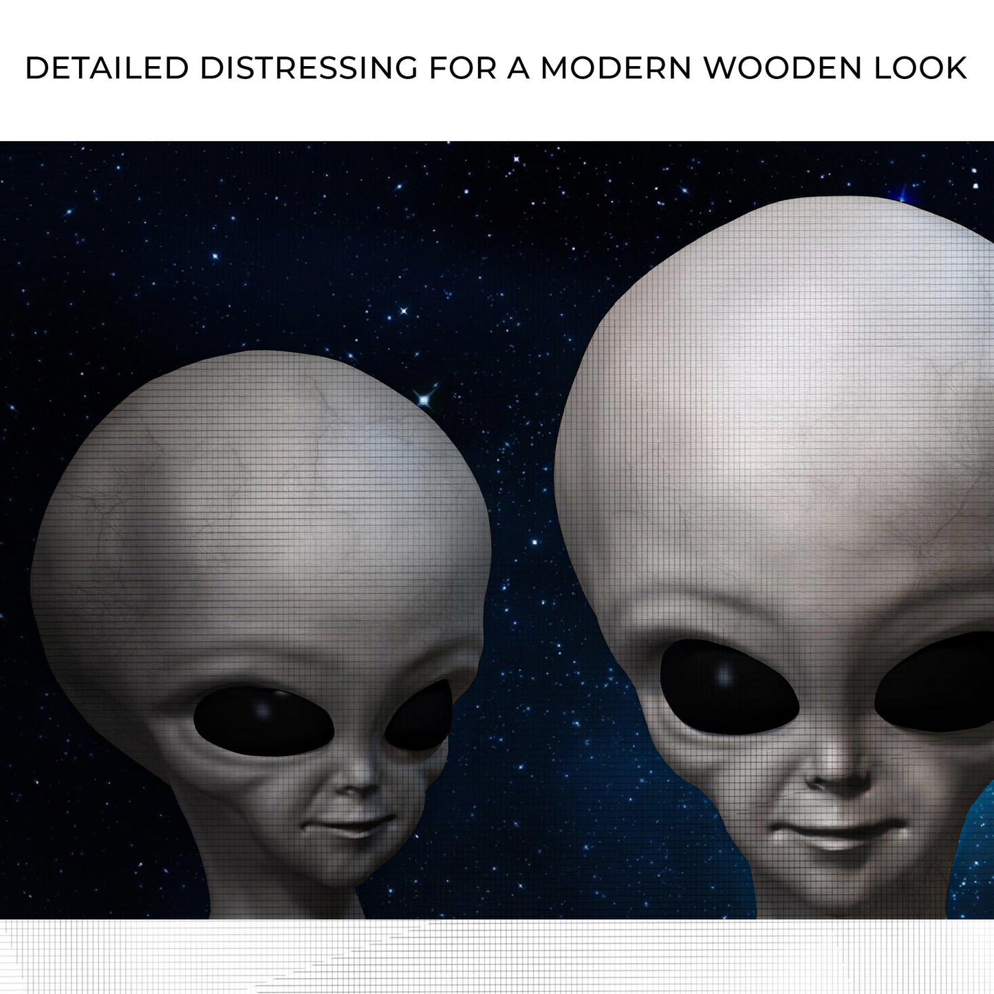 Extraterrestrial Alien Face Canvas Wall Art Zoom - Image by Tailored Canvases