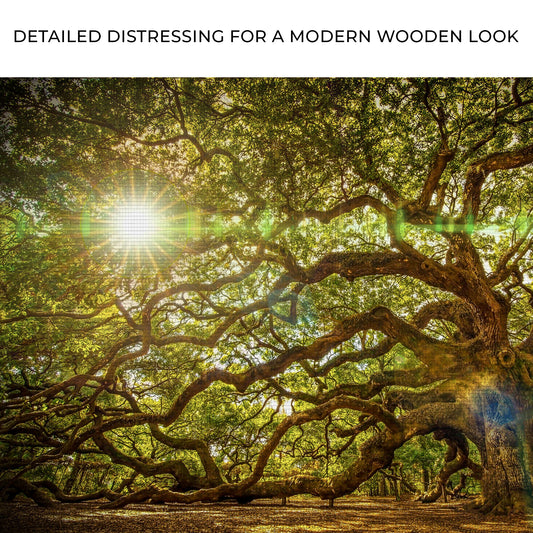 Angel Oak Tree Canvas Wall Art Zoom - Image by Tailored Canvases