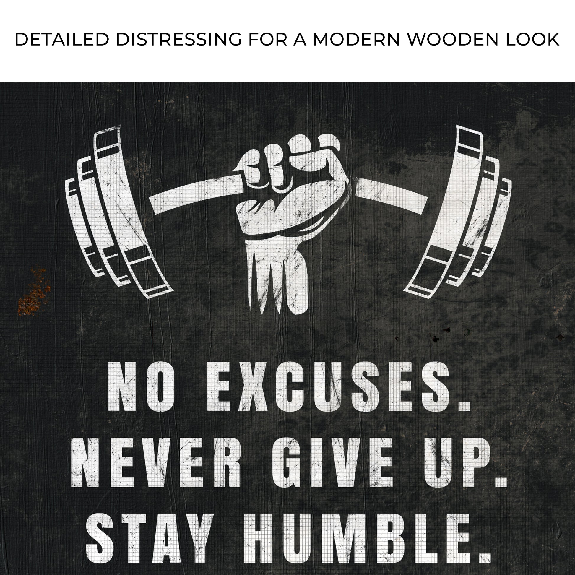 No Excuses Motivational Sign Zoom - Image by Tailored Canvases