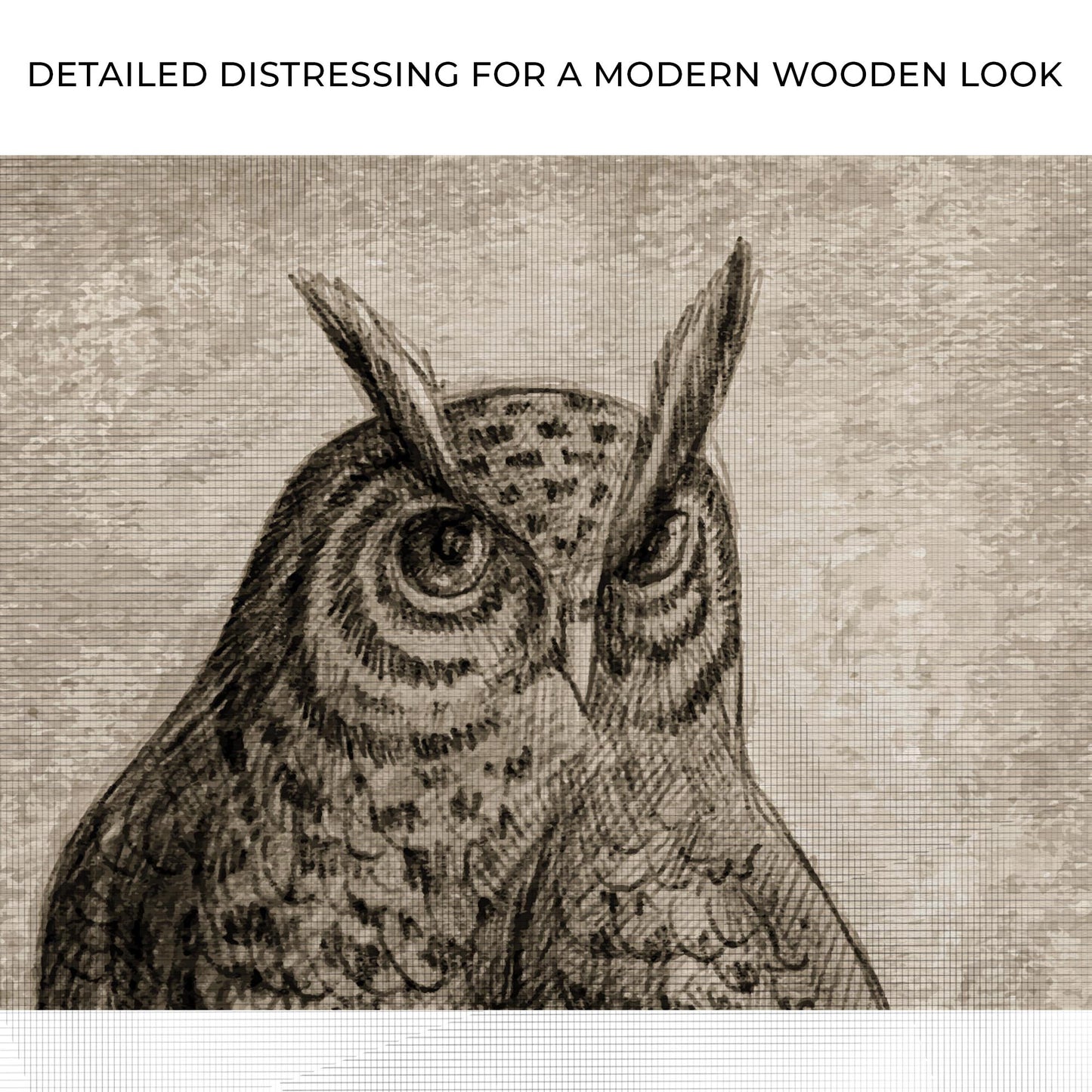 Owl Pencil Sketch Portrait Canvas Wall Art Zoom - Image by Tailored Canvases