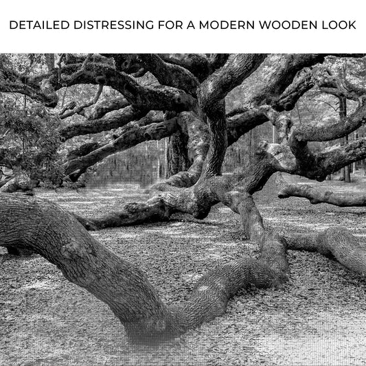 Monochrome Angel Oak Tree Canvas Wall Art II Zoom - Image by Tailored Canvases