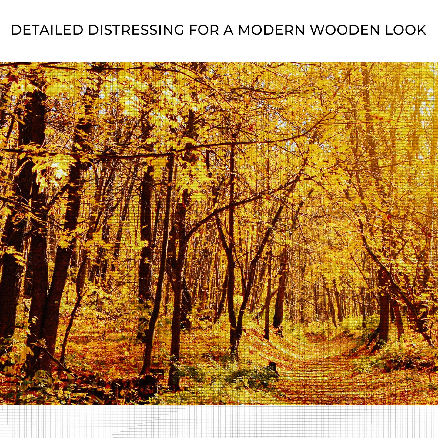 Yellow Autumn Forest Canvas Wall Art Zoom - Image by Tailored Canvases