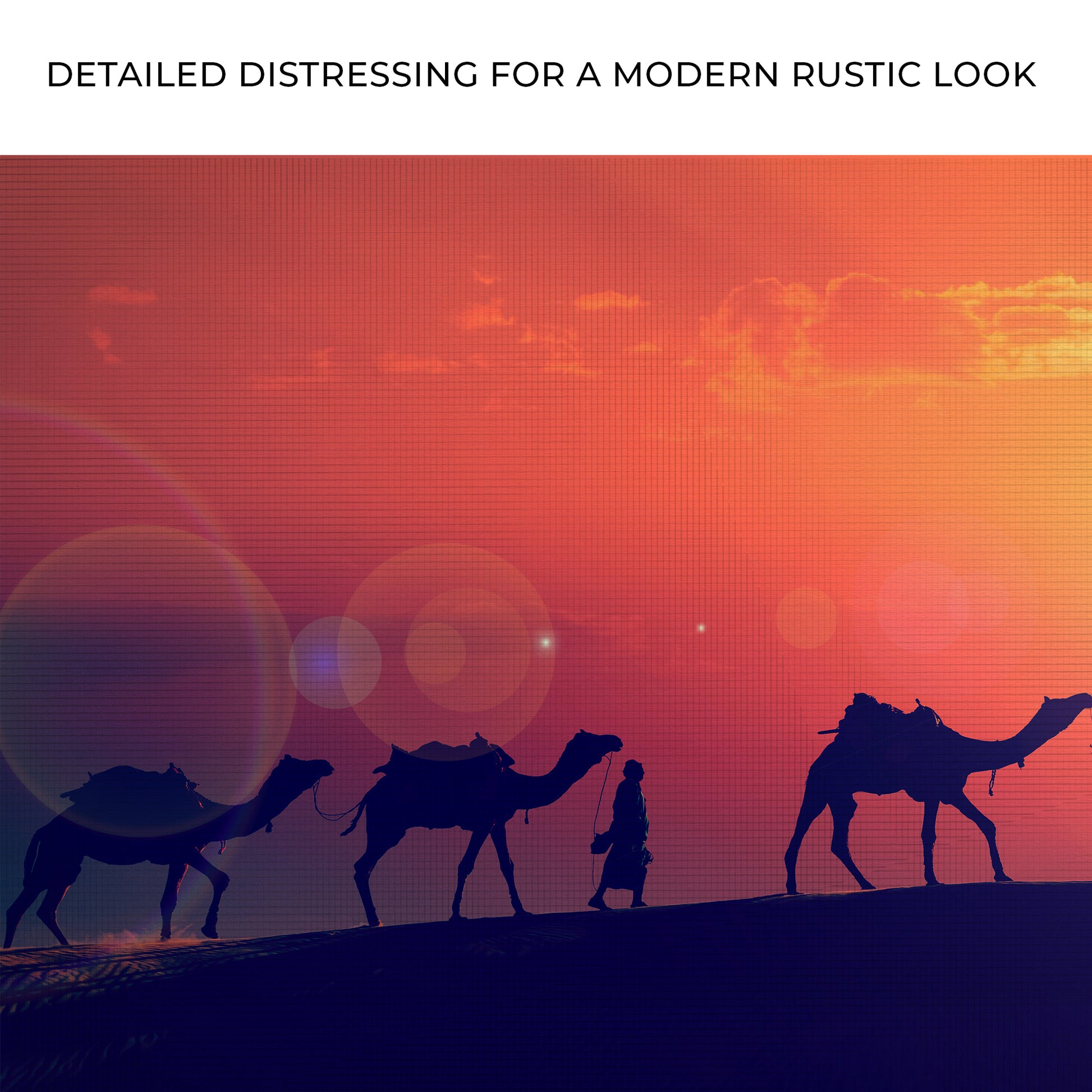 Camel Journey At Sunset Canvas Wall Art Zoom - Image by Tailored Canvases