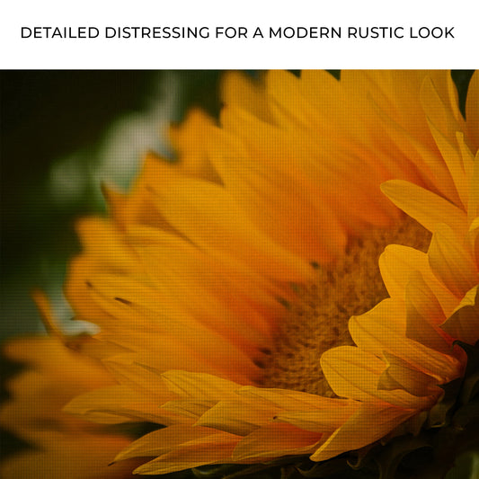 Last Of The Sunflowers Canvas Wall Art Zoom - Image by Tailored Canvases
