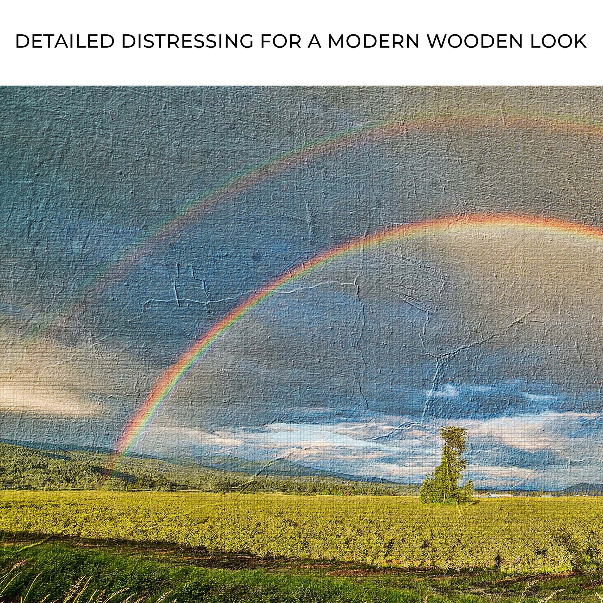 Double Rainbow Over The Field Canvas Wall Art Zoom - Image by Tailored Canvases