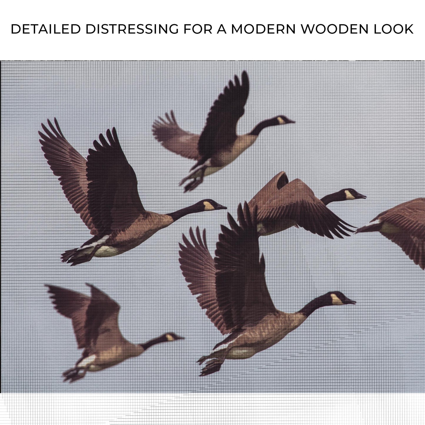 Canadian Geese Canvas Wall Art Zoom - Image by Tailored Canvases