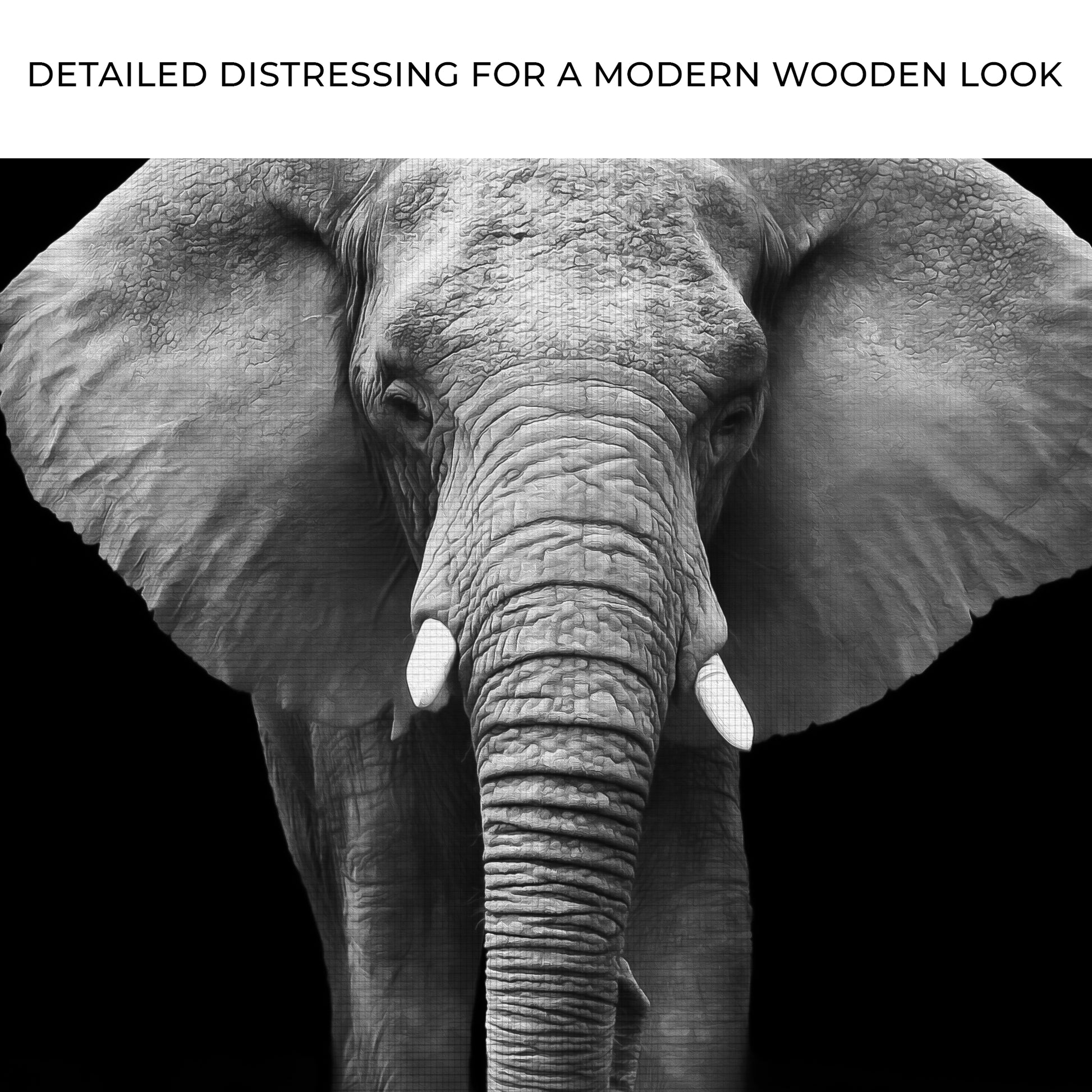 Black and White Elephant Portrait Canvas Wall Art Zoom - Image by Tailored Canvases