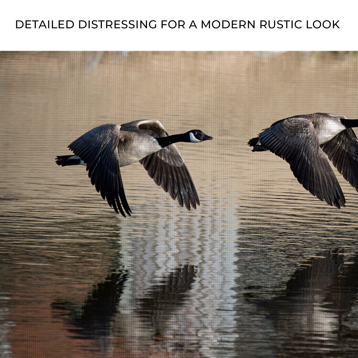 Low Flying Geese Canvas Wall Art Zoom - Image by Tailored Canvases