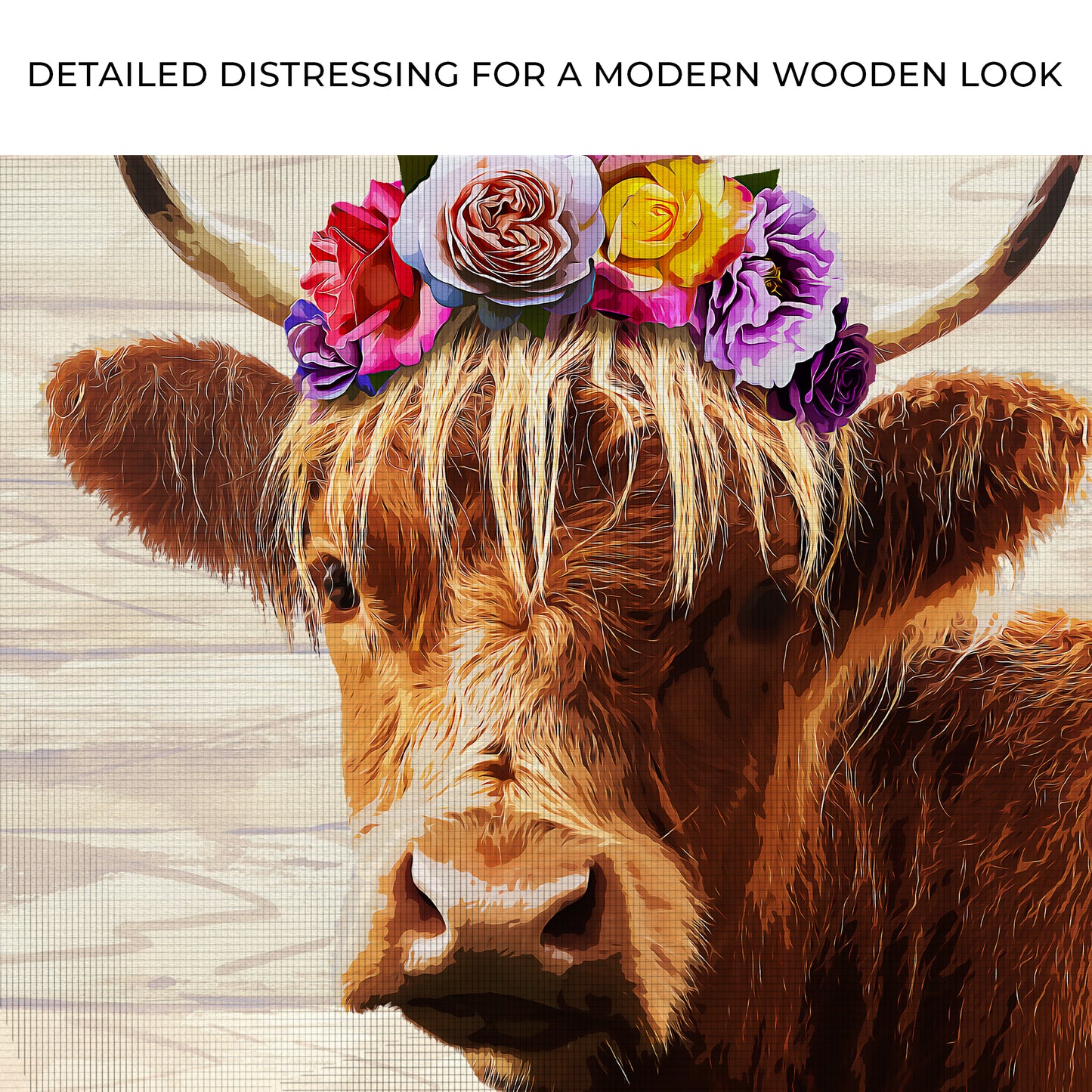 Pretty Highland Cow Canvas Wall Art Zoom - Image by Tailored Canvases