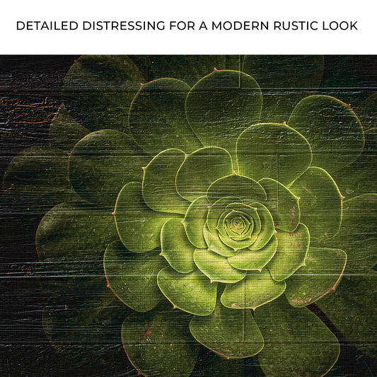 Succulent In Macro Lens Canvas Wall Art Zoom - Image by Tailored Canvases