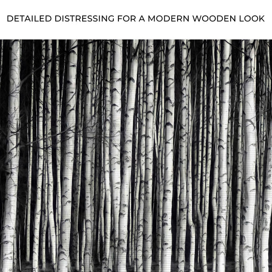 Monochrome Birch Trees Canvas Wall Art Zoom - Image by Tailored Canvases