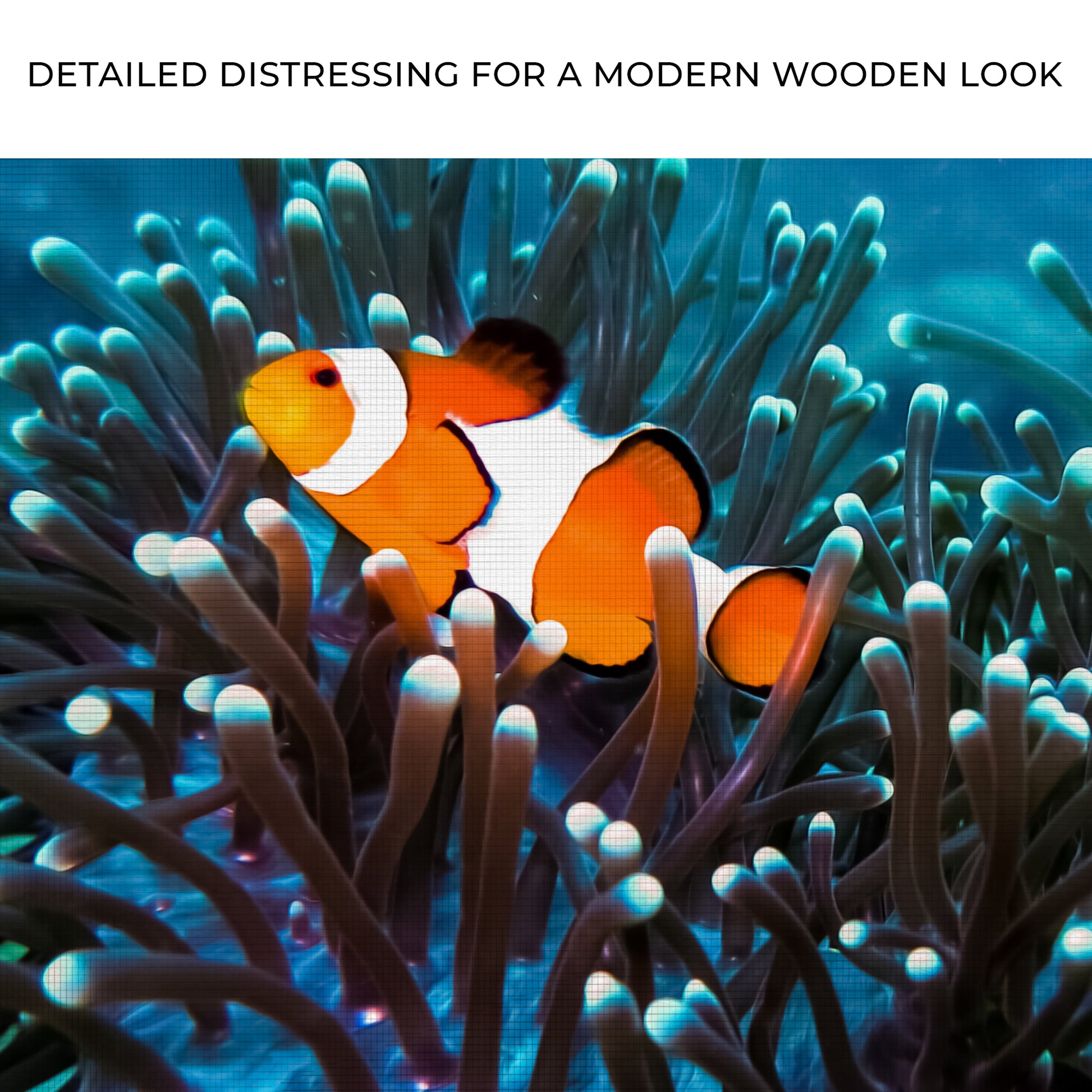 Clownfish And Corals Canvas Wall Art Zoom - Image by Tailored Canvases