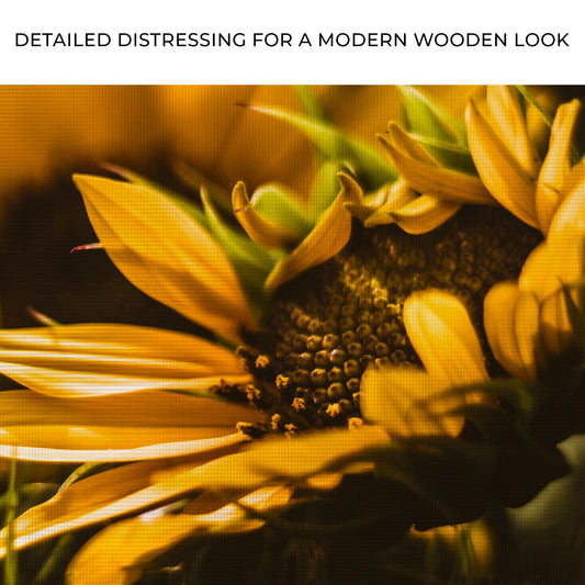 Macro Sunflower Canvas Wall Art Zoom - Image by Tailored Canvases