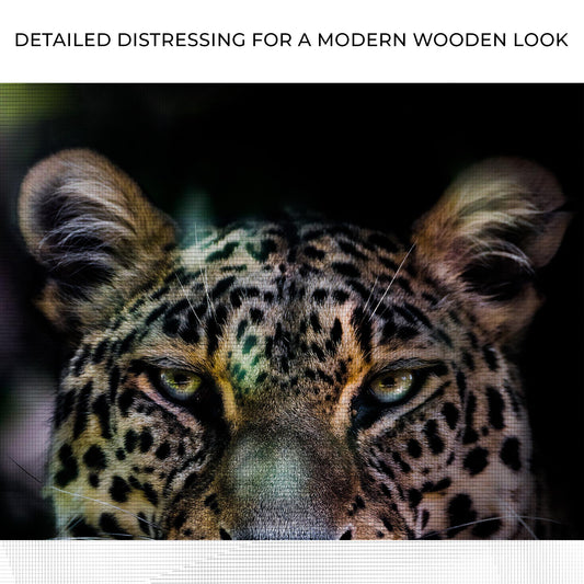 Sneaky Jungle Leopard Portrait Canvas Wall Art Zoom - Image by Tailored Canvases