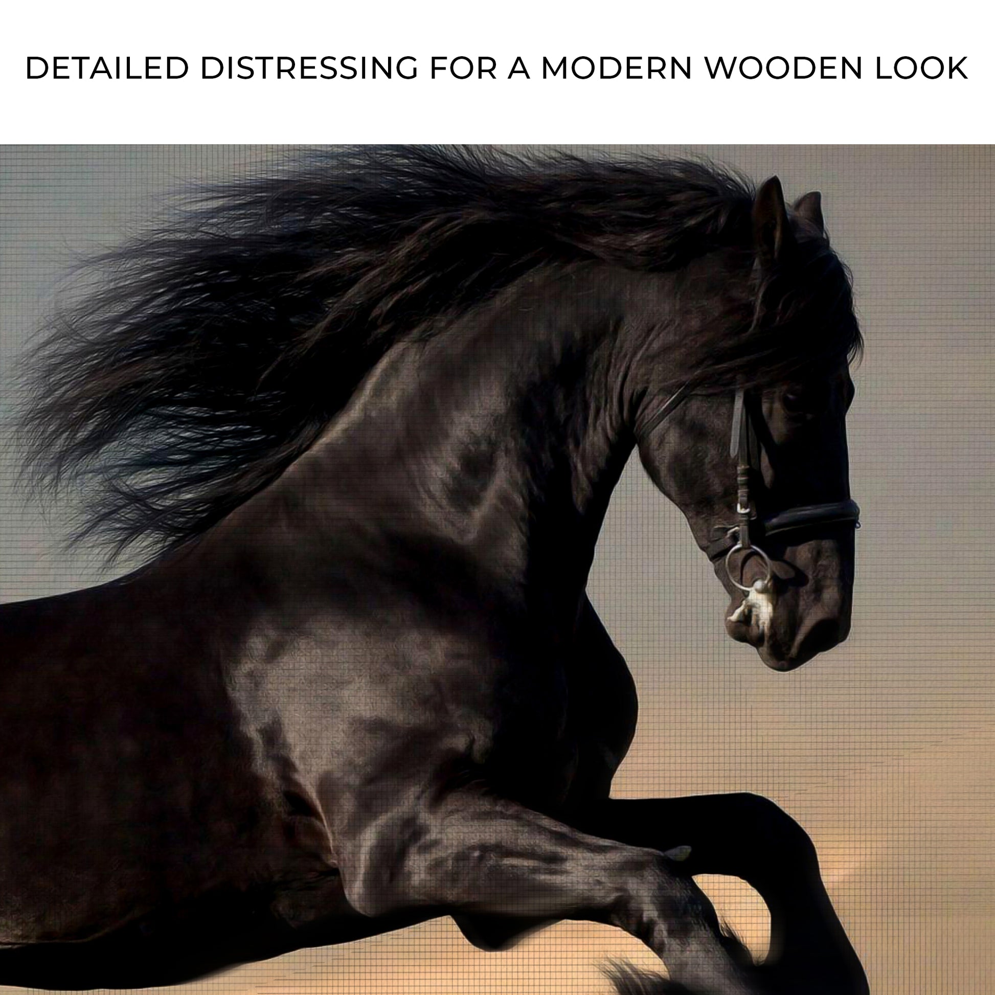 Majestic Black Stallion Canvas Wall Art Zoom - Image by Tailored Canvases