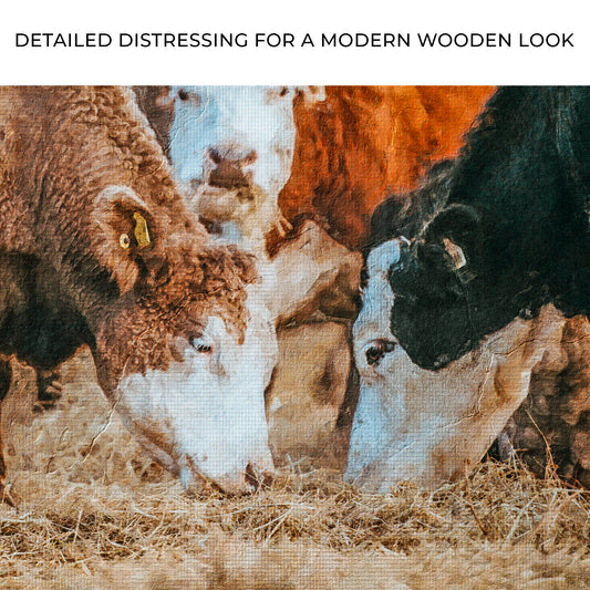 Family Of Hereford Cattle Canvas Wall Art Zoom - Image by Tailored Canvases