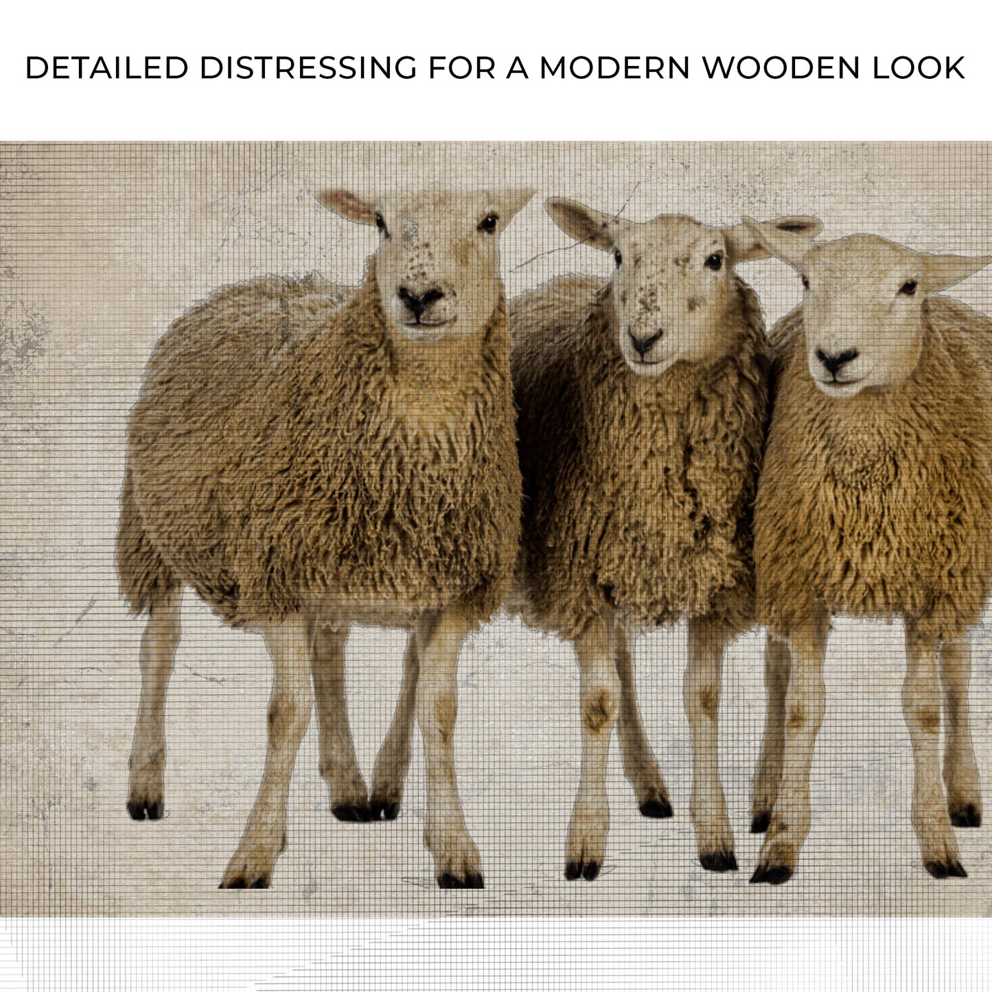 Rustic Sheep Herd Canvas Wall Art Zoom - Image by Tailored Canvases