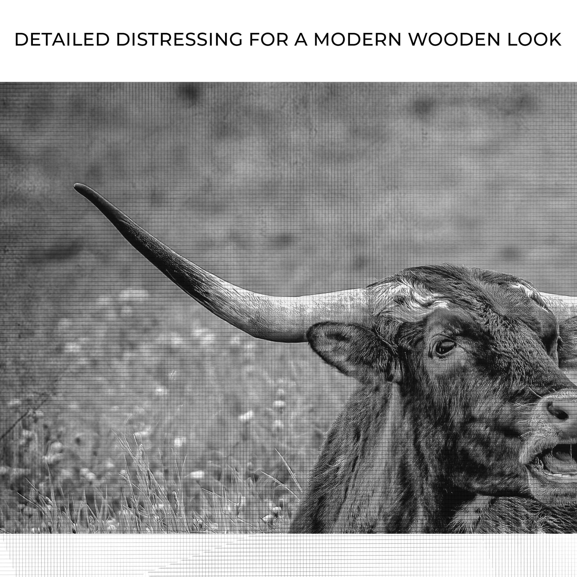 Black And White Longhorn Bull Canvas Wall Art Zoom - Image by Tailored Canvases