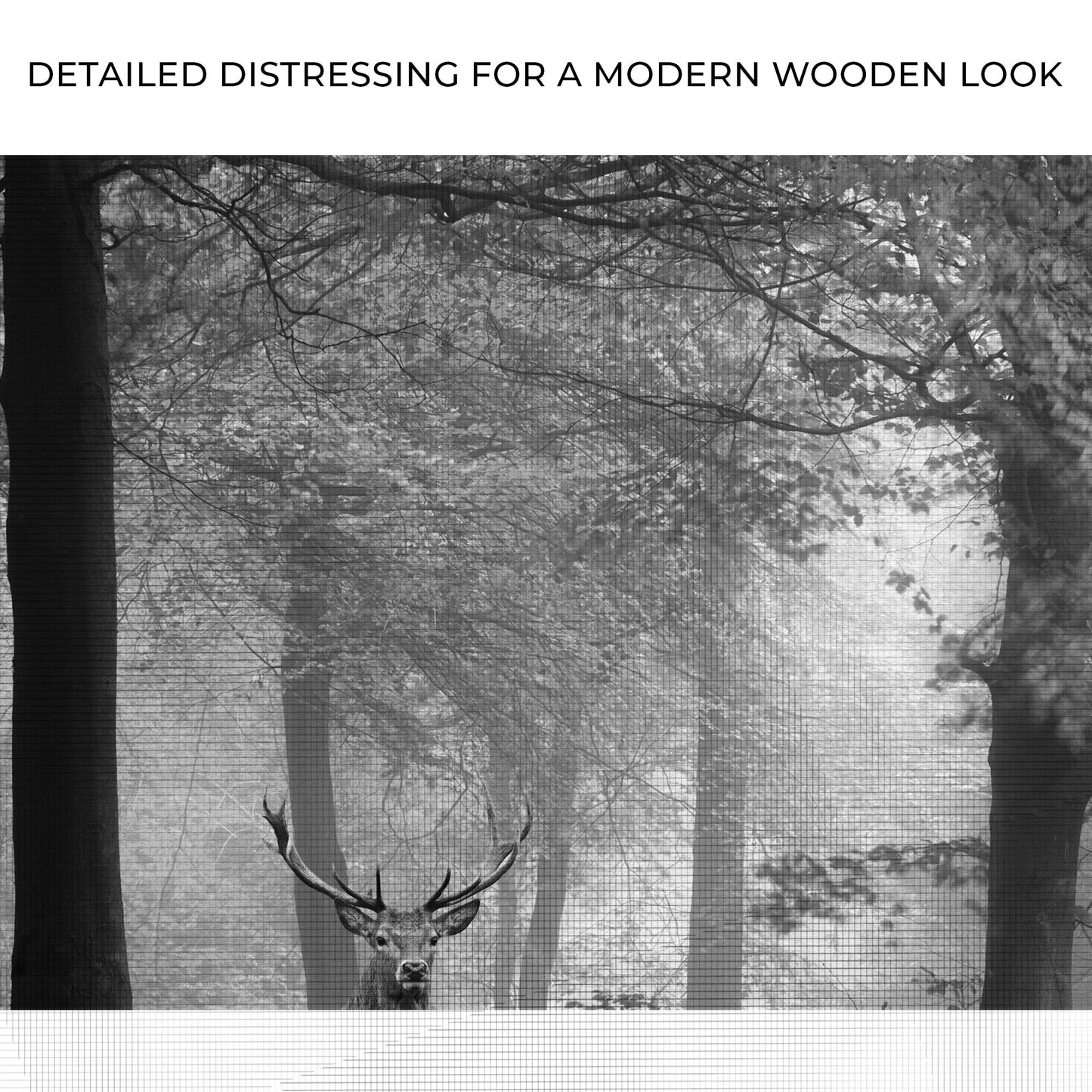 Deer In Foggy Forest Canvas Wall Art Zoom - Image by Tailored Canvases