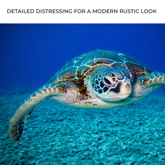 Green Sea Turtle Canvas Wall Art Zoom - Image by Tailored Canvases
