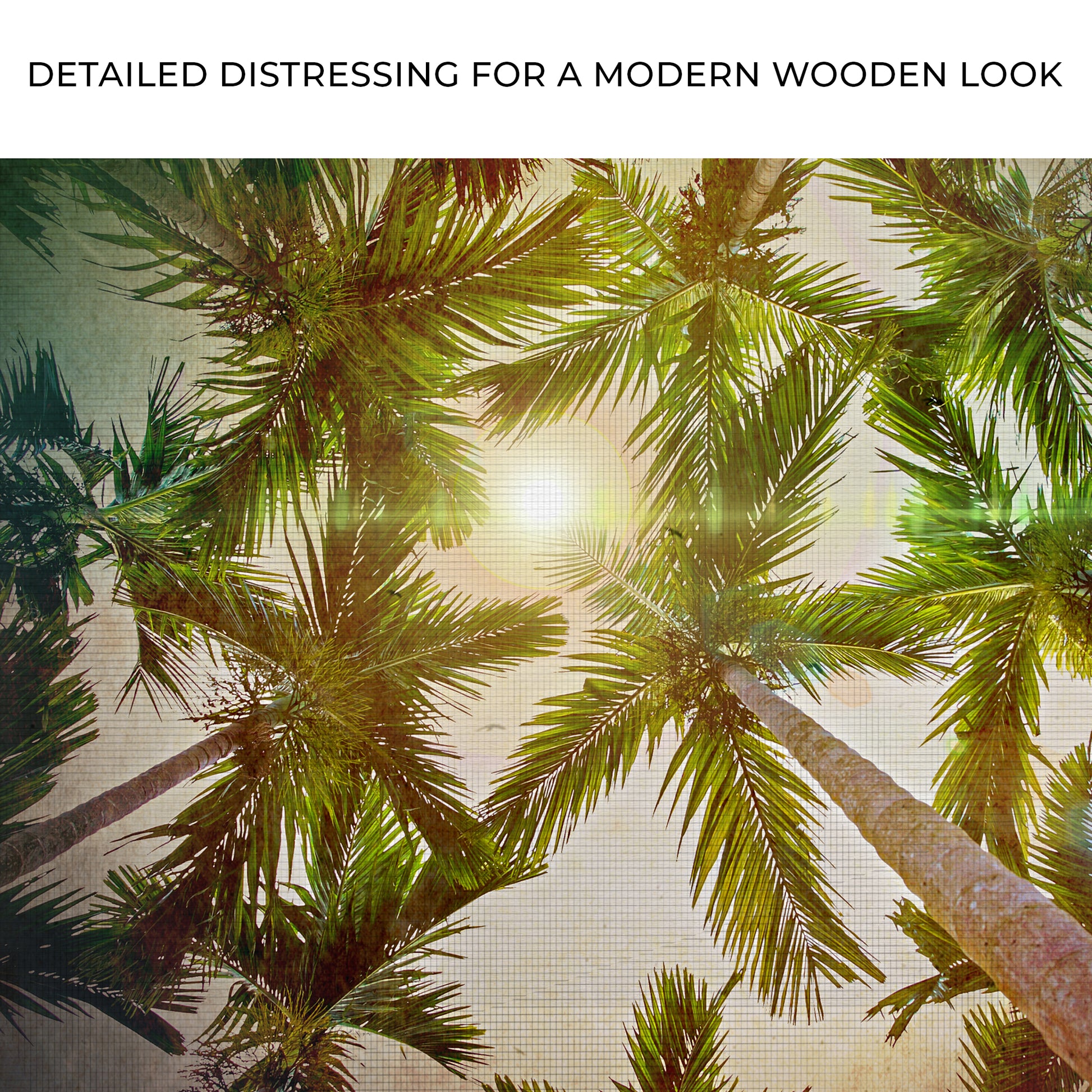 Looking Up Palm Trees Canvas Wall Art Zoom - Image by Tailored Canvases