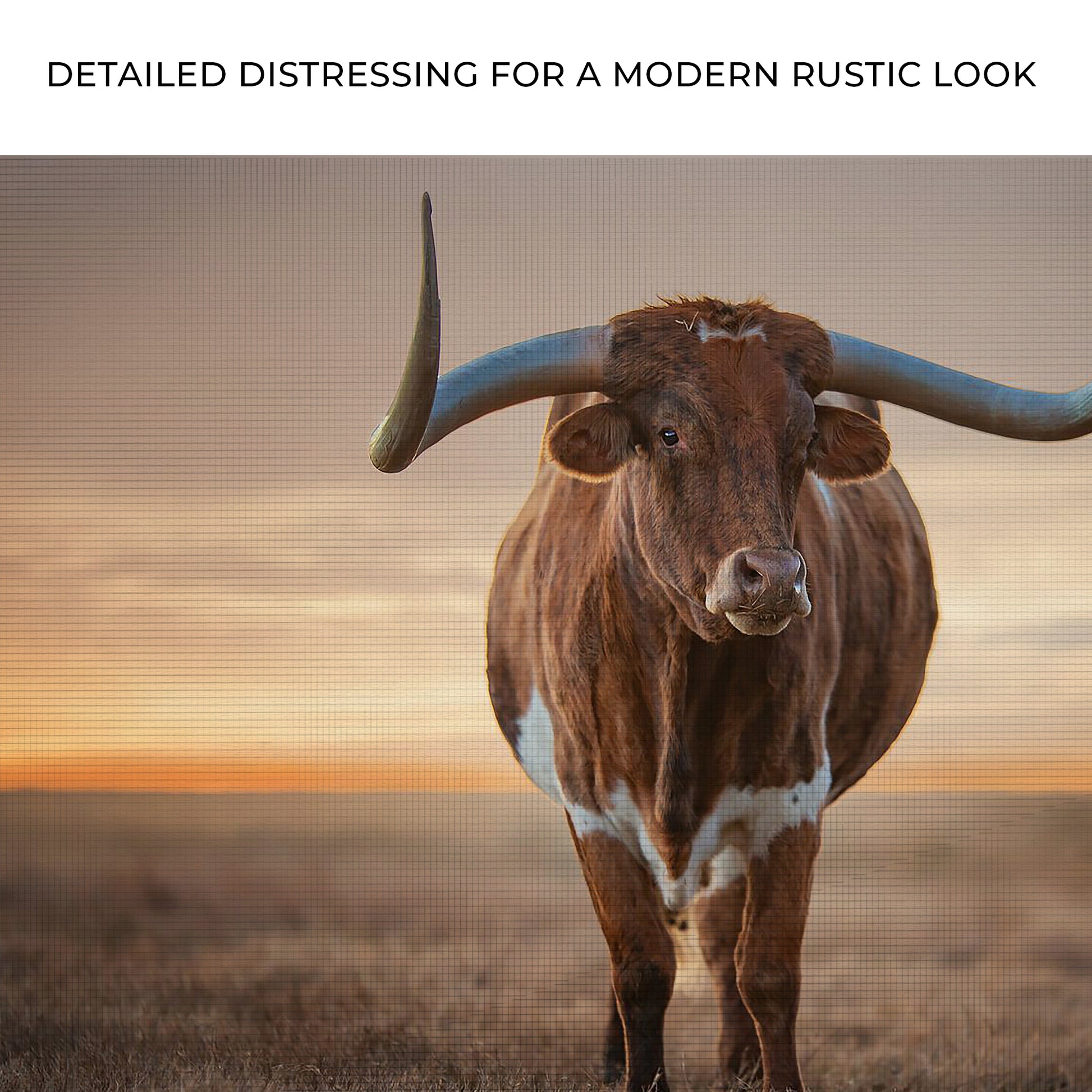 Mighty Longhorn Cattle Canvas Wall Art Zoom - Image by Tailored Canvases