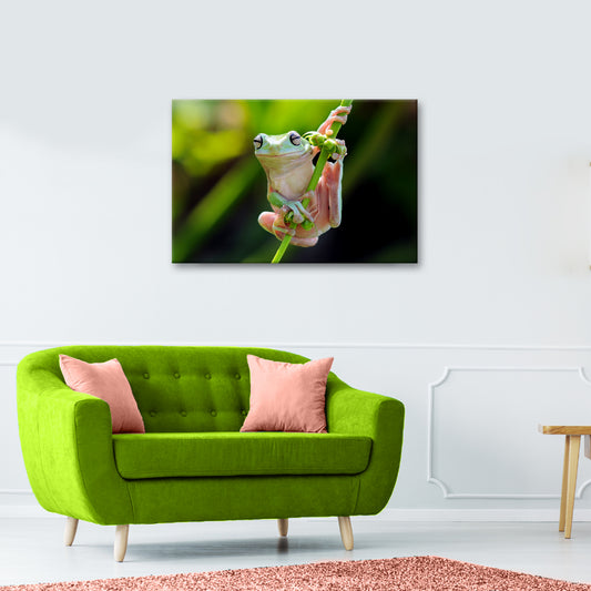 Reptile Frog Adventurous Canvas Wall Art - Image by Tailored Canvases
